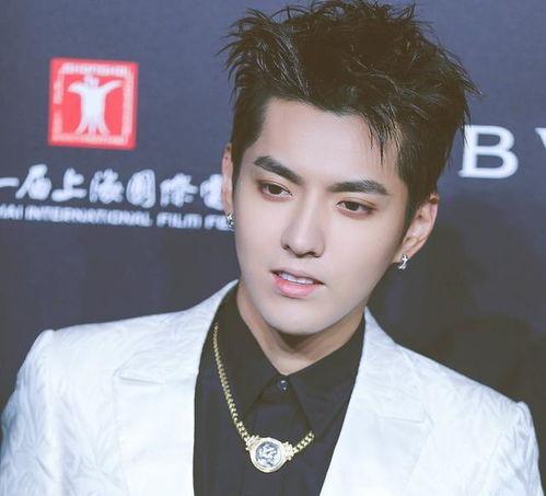吴亦凡娱乐圈爆料,揭秘背后真相与影响