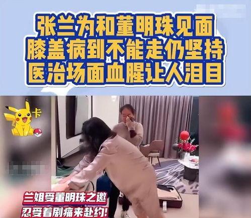 张岚最新爆料视频,惊人内幕曝光!