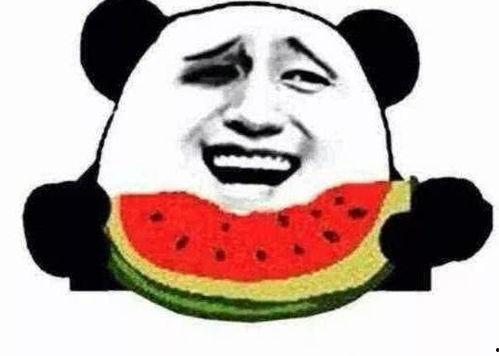 求抱抱吃瓜视频下载免费,免费畅享“求抱抱吃瓜”视频盛宴  第2张 求抱抱吃瓜视频下载免费,免费畅享“求抱抱吃瓜”视频盛宴  第2张