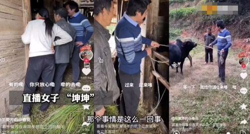 村民爆料牛爱芳视频,牛爱芳视频引发热议,真相究竟如何?