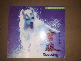 雪狼手机在线观看,在线观看,尽享冰雪激情之旅