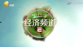 辽宁都视直播在线观看,实时观看,尽享精彩瞬间