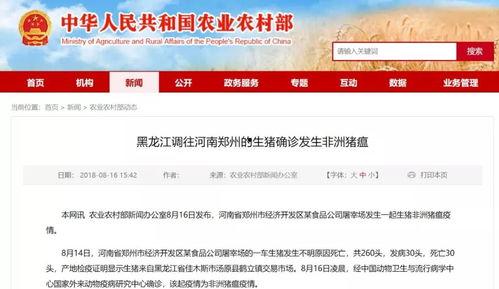 卓炜最新爆料消息新闻,揭秘娱乐圈惊人内幕  第3张 卓炜最新爆料消息新闻,揭秘娱乐圈惊人内幕  第3张
