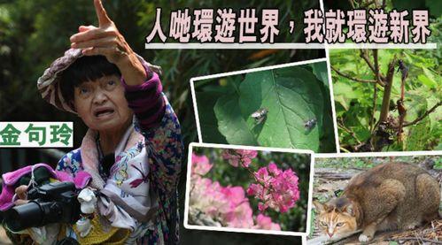 猪刚鬣大姐爆料视频在线观看,揭秘娱乐圈不为人知的一面  第3张 猪刚鬣大姐爆料视频在线观看,揭秘娱乐圈不为人知的一面  第3张