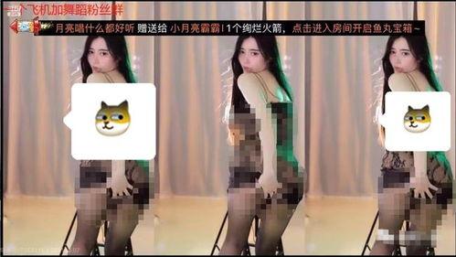 直播露出在线观看  第3张 直播露出在线观看  第3张