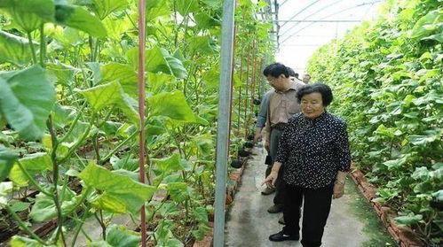 吃瓜大全网站免费观看,免费畅享热门资讯,轻松解锁精彩内容  第2张 吃瓜大全网站免费观看,免费畅享热门资讯,轻松解锁精彩内容  第2张