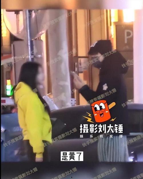 刘大锤最新爆料家暴视频,最新家暴视频曝光,真相令人震惊!