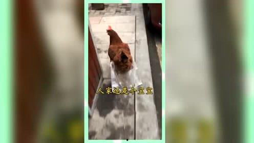 八卦娱乐是吃瓜群众的,揭秘吃瓜群众的狂欢盛宴  第2张 八卦娱乐是吃瓜群众的,揭秘吃瓜群众的狂欢盛宴  第2张