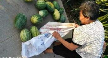 夏邑吃瓜最新事件爆料,揭秘背后惊人真相,网络热议持续升温  第2张 夏邑吃瓜最新事件爆料,揭秘背后惊人真相,网络热议持续升温  第2张
