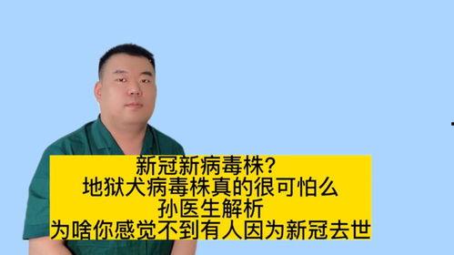 医生爆料病毒视频播放大全,病毒视频播放大全深度解析  第3张 医生爆料病毒视频播放大全,病毒视频播放大全深度解析  第3张