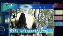 天津小佬爆料新闻视频,最新爆料新闻视频内容大起底  第2张 天津小佬爆料新闻视频,最新爆料新闻视频内容大起底  第2张