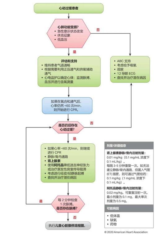 保险拒赔爆料流程视频教程,揭秘爆料流程与维权技巧