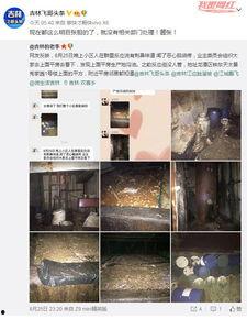 吉林市民爆料最新信息网,最新信息网揭示城市动态  第3张