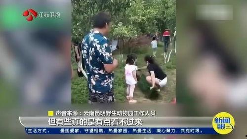 广西来宾网友爆料视频,现场惊心动魄,视频内容令人震惊!