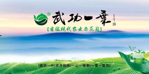 江西凤凰热点爆料新闻最新  第2张 江西凤凰热点爆料新闻最新  第2张