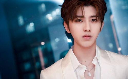 蔡徐坤母亲被爆料视频,揭秘明星家庭背后的故事 第3张 蔡徐坤母亲被爆料视频,揭秘明星家庭背后的故事 第3张