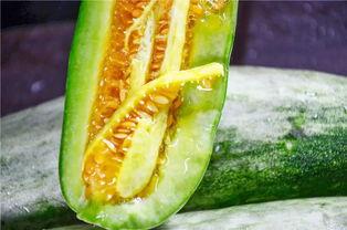 吃瓜最近网红圈,吃瓜群众热议最新热点事件 第2张 吃瓜最近网红圈,吃瓜群众热议最新热点事件 第2张