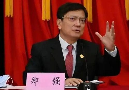 郑强最新爆料消息新闻  第3张