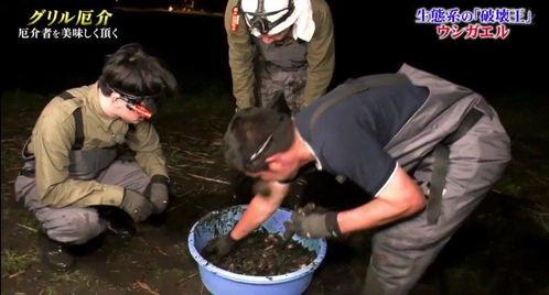 牛哥最新爆料视频大全