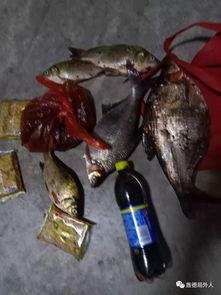 最新偷鱼爆料,揭秘幕后黑手与惊人内幕 第2张 最新偷鱼爆料,揭秘幕后黑手与惊人内幕 第2张