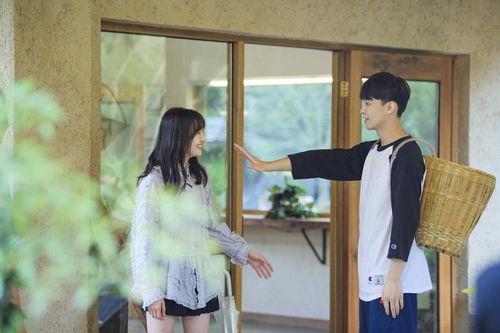 郑爽新浪娱乐爆料,揭秘娱乐圈背后的真相 第3张 郑爽新浪娱乐爆料,揭秘娱乐圈背后的真相 第3张