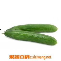 吃瓜百科今日首页